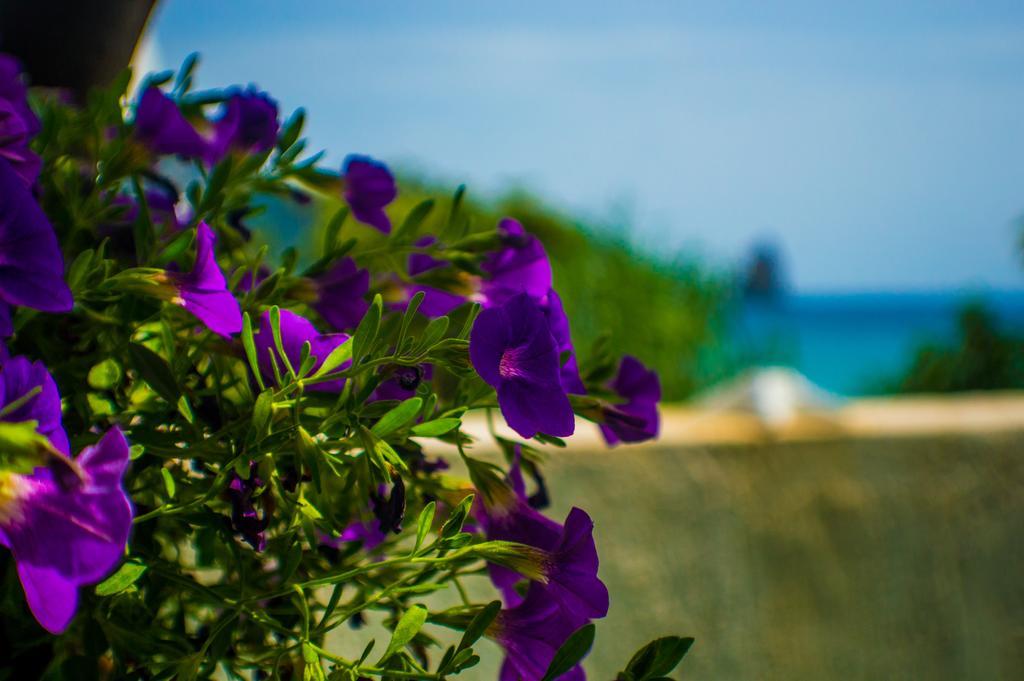 Agathi Beach House アギオス・ゴルディオス エクステリア 写真
